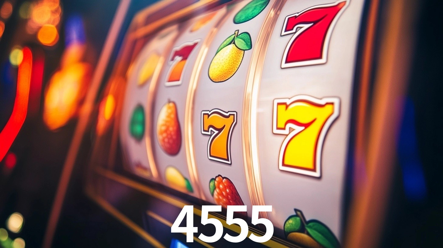 Premium Interface 4555